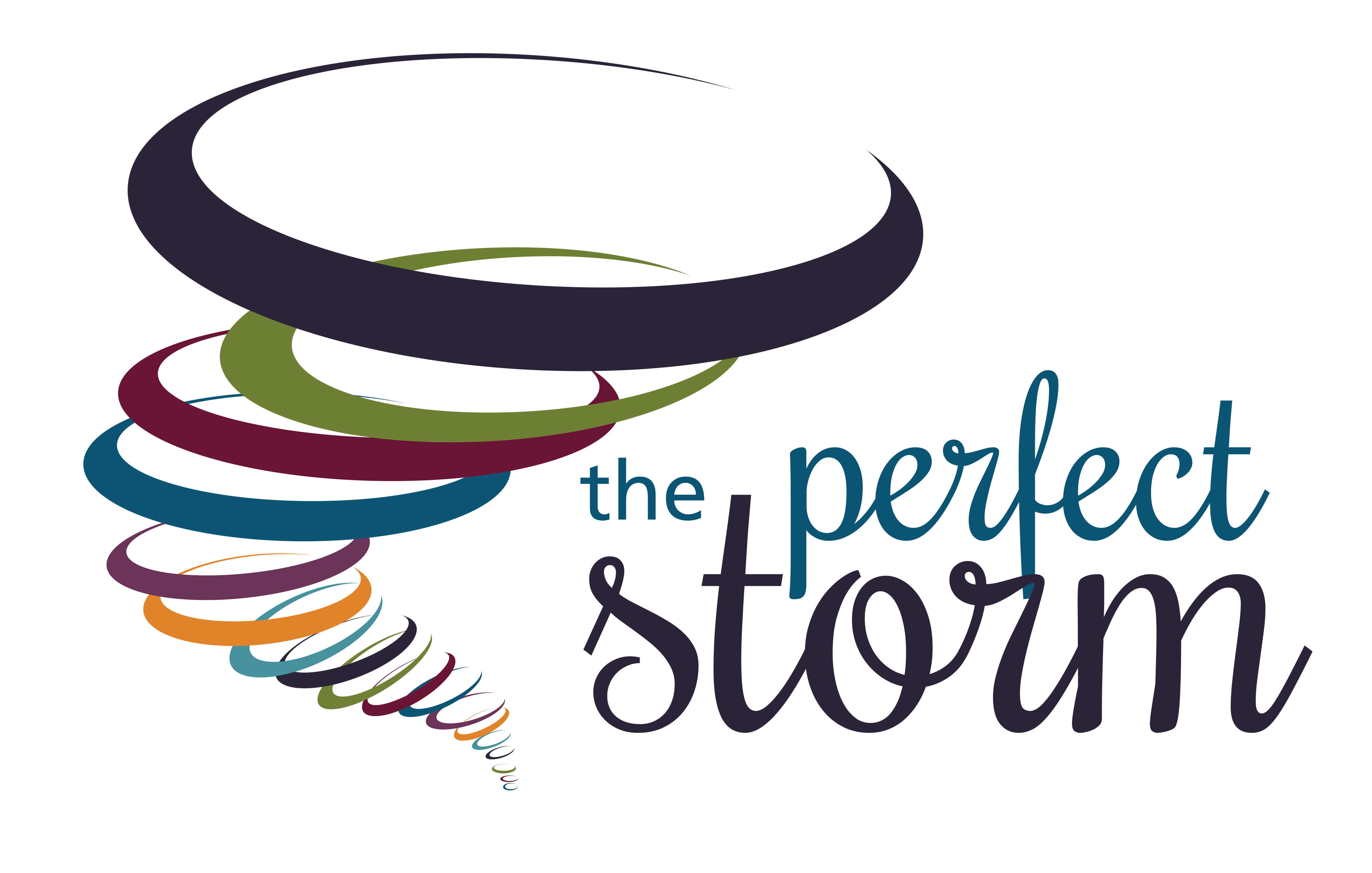 perfect storm logo-min Perfect Storm Workshop